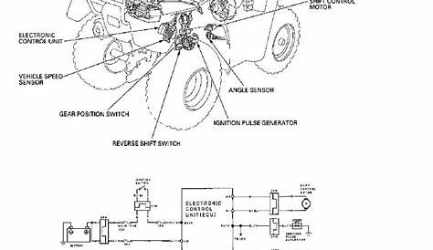 2002 Honda Rancher 350 Es Wiring Diagram - Wiring Diagram and Schematic