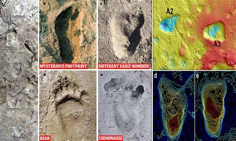 Mysterious Footprints Discovered In Tanzania Were Left By Early Humans