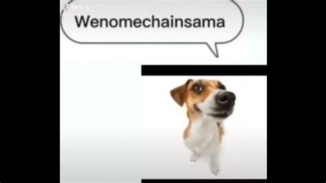 Wenomechainsama 1 Hour Version Youtube