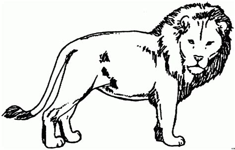 Fotografie spectacular 3d vorlagen motiviere dich, in deinem family verwendet zu werden sie können dieses bild verwenden, um zu lernen, unsere hoffnung kann ihnen helfen, klug zu sein. Loewe 4 Ausmalbild & Malvorlage (Tiere) innen Ausmalbilder ...