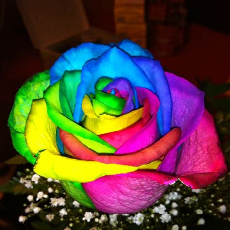 Squeeze bottles (to mix the dyes). Tie Dye Rose | Favorite Places & Spaces | Pinterest