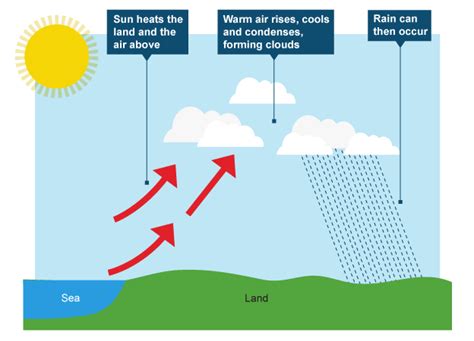 Types Of Rainfall Jack Williams Geography