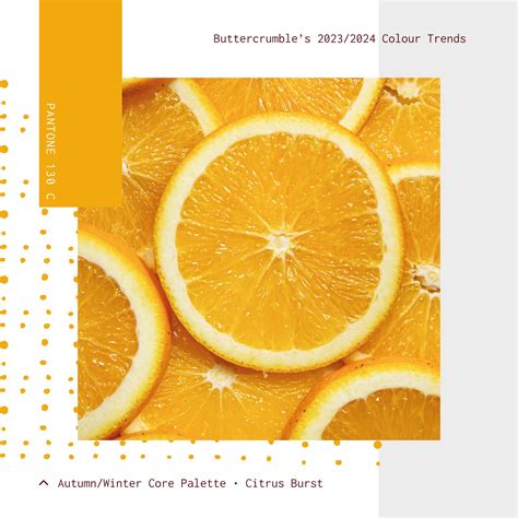 Boost Your Brand With 20232024 Colour Trends — Buttercrumble Design Firm