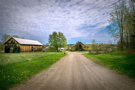 Nasami Farms: A New England Mecca for Native Plant Lovers - Gardenista