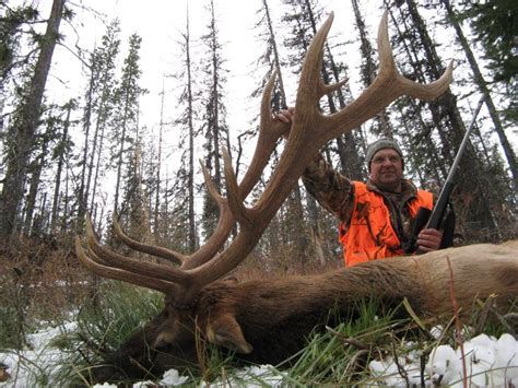 Elk Hunting Trips Montana Hunting Outfitter