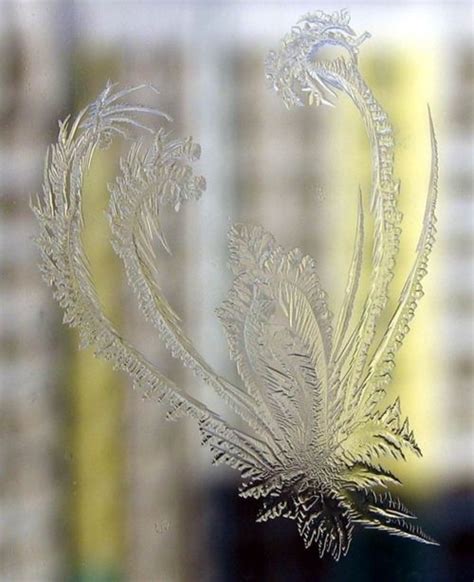 Ice Crystal Design On Window Ice Art Winter Magic Winter Wonder