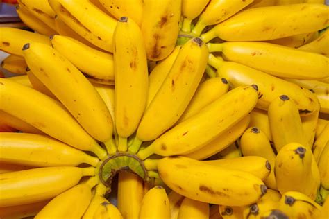 Backed By Bill Gates Gmo Bananas Are Going Into Human Trials