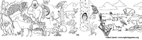 Animals And Their Habitats Coloring Pages Free Coloring Page