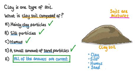 Question Video Identifying The Components Of Clay Soil Nagwa