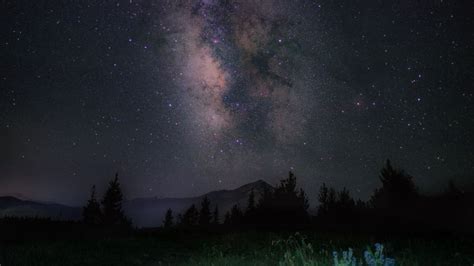 Starry Sky Night Mountains Grass Milky Way