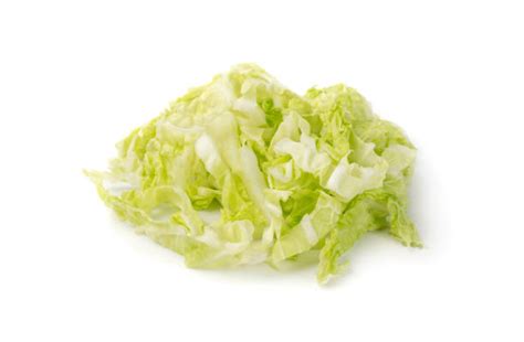 180 Wombok Cabbage Stock Photos Pictures And Royalty Free Images Istock