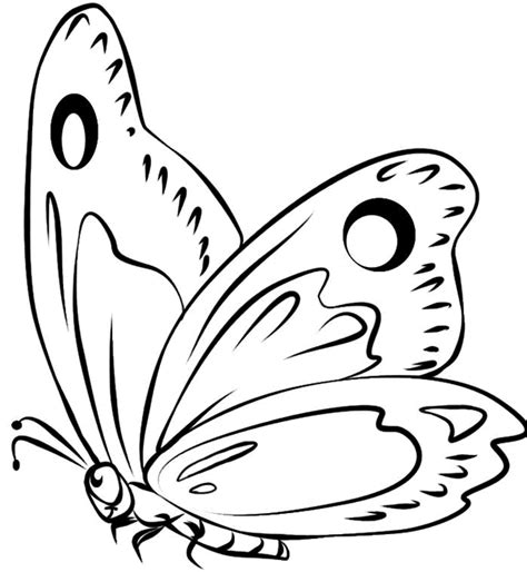 Dibujos De Mariposas Para Colorear