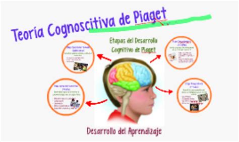 Que Es La Teoria Cognitiva De Piaget Image To U