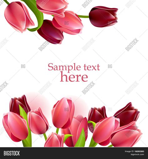 Floral Frame Tulips Vector Photo Free Trial Bigstock