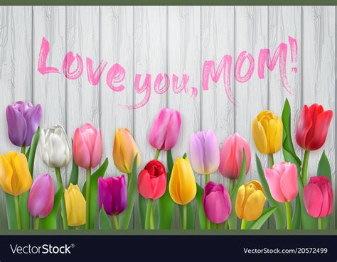 Happy Mothers Day Card With Tulips Royalty Free Vector Image