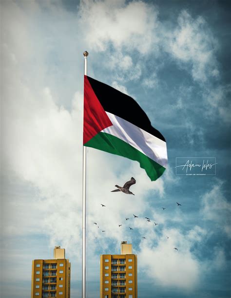 تحميل صورة علم فلسطين يرفرف في السماء خلفية علم فلسطين Palestine Flag