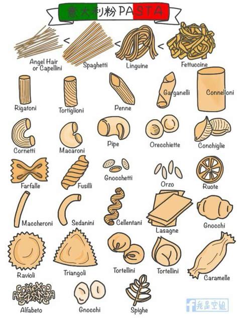 The Different Types Of Pasta In Italian