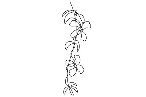Flower Vine Line Drawing Best Flower Site