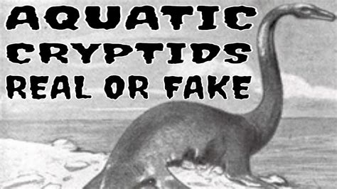 Aquatic Cryptids Part Two Mythical Creatures Or Real Creatures