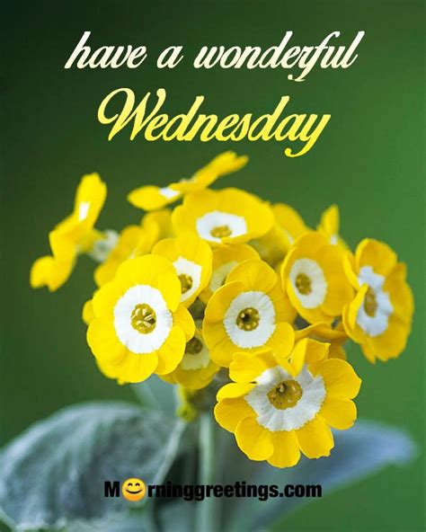 70 Wonderful Wednesday Quotes Wishes Pics Morning Greetings Morning
