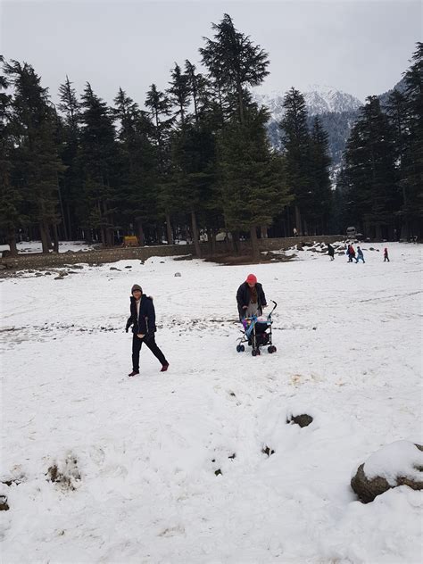 Swat Valley Kalam Malam Jabba And Shogran Valley Group Tour Snowfall