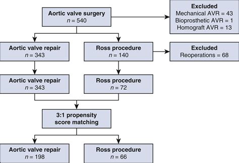 Aortic Valve Repair Versus The Ross Procedure In Children The Journal