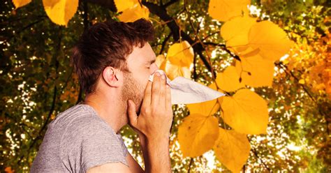 Coping With Fall Allergies Check Out These Yard Work Tips Towson