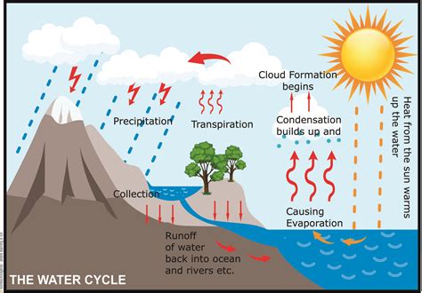 The Impact Of The Water Cycle On Chicagos Weather