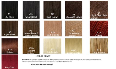Puretemplehair Premium Indian Virgin Remy Hair Color Chart With