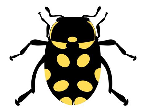 Free Bug Clip Art Black And White Download Free Bug Clip Art Black And