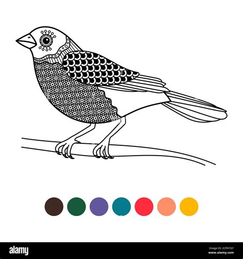 Wing Coloring Stock Vector Images Alamy