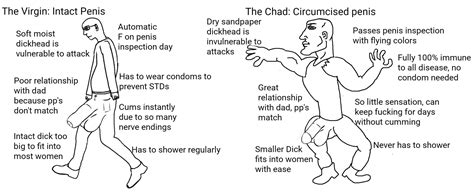 The Virgin Intact Penis Vs The Chad Circumcised Penis Rvirginvschad