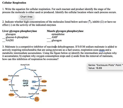 This anaerobic process produces lactic acid as a byproduct What Are The Reactants In The Equation For Cellular Respiration? : What Is The Purpose Of ...