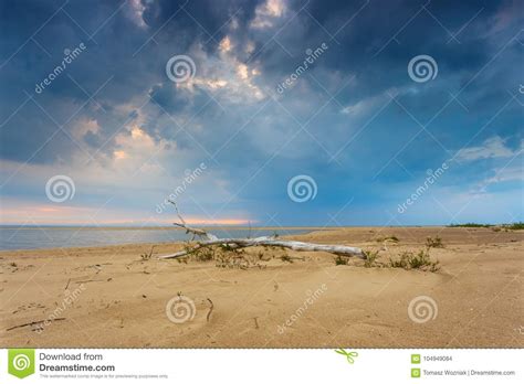 Storm Clouds Over Sand Beach At Baltic Sea Stock Photo Image Of