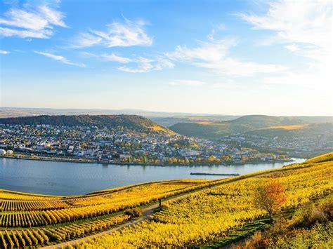 Wein Landschaft Und Events Genussregion Rheingau Warum Sich Die