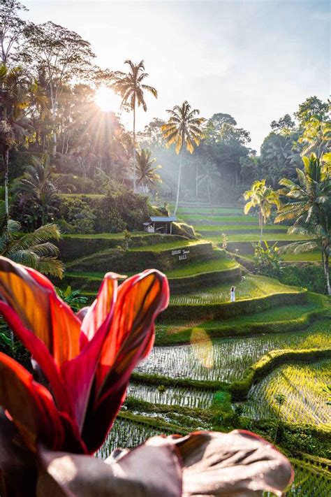 37 Dream Destinations To Add To Your 2023 Travel Bucket List Bali