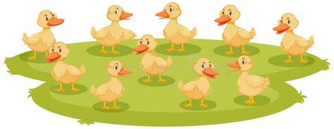 Baby Ducklings Stock Illustrations 439 Baby Ducklings Stock
