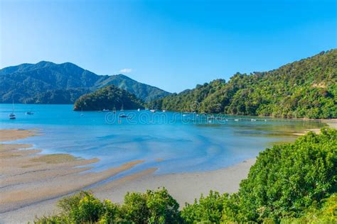 Ngakuta Bay At Queen Charlotte Sound At South Island Of New Zeland