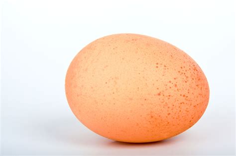 Egg Free Stock Photo Public Domain Pictures