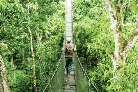 Canopy Walkways Inkaterra Reserva Amazonica Luxury Peru Ker