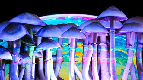 Psychedelic Mushrooms Win A Major Electoral Victory In Oregon