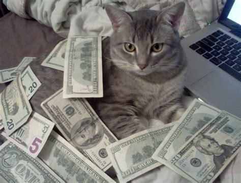 He will pick up any kitty! Cats With Money