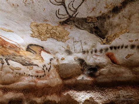 Lascaux Cave Paintings An Enchanting Journey To Prehistoric Times
