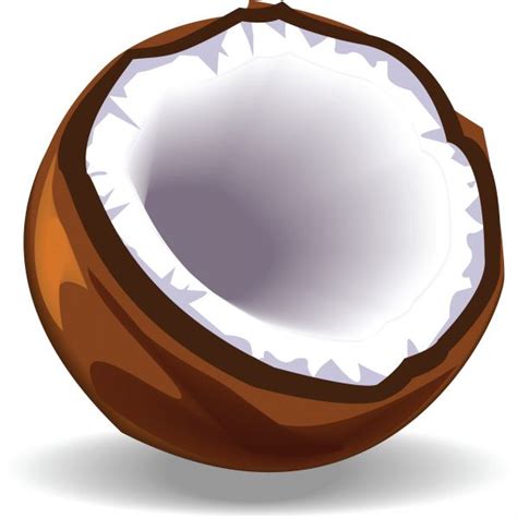Coconut Clip Art & Look At Clip Art Images - ClipartLook