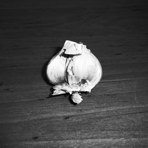 Garlic Black And White Food Photography Ftw Likethegrandcanyon