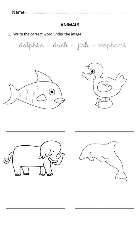 Worksheet activities for 4 year olds. Writing Animal Words for 5 and 6 years old. #WritingWords ...