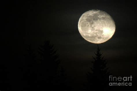 Mystic Moon Photograph By Timothy Lane