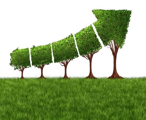 How to Drive Organic Growth: 5 Proven Strategies for Professional ...