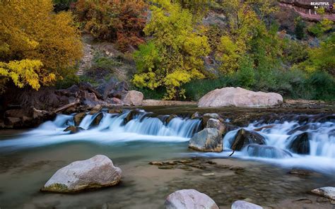River Forest Autumn Stones Beautiful Views Wallpapers 1920x1200