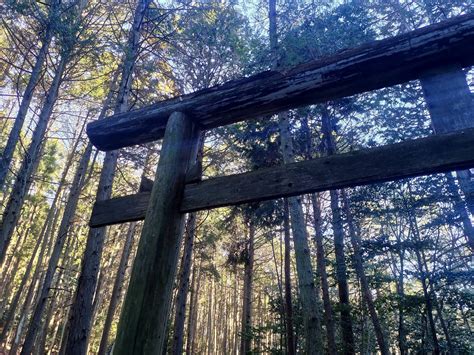 北播磨広域観光協議会 まずは麓で山の神さまをお参り🙏 登山開始早々に急坂となりますので気を引き締めます。